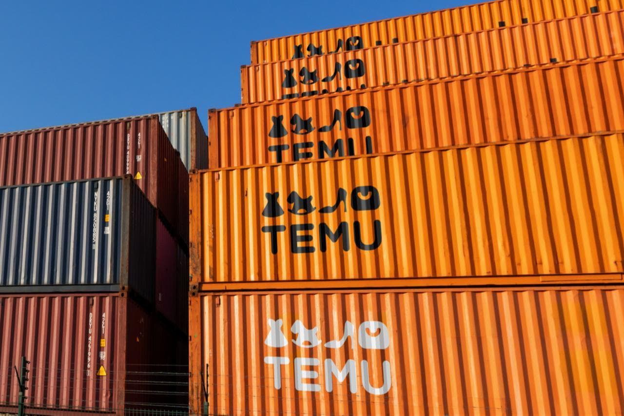 Perché Temu può offrire prezzi così bassi